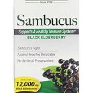 Nature's Answer Sambucus Black Elderberry 16 fl oz Liquid